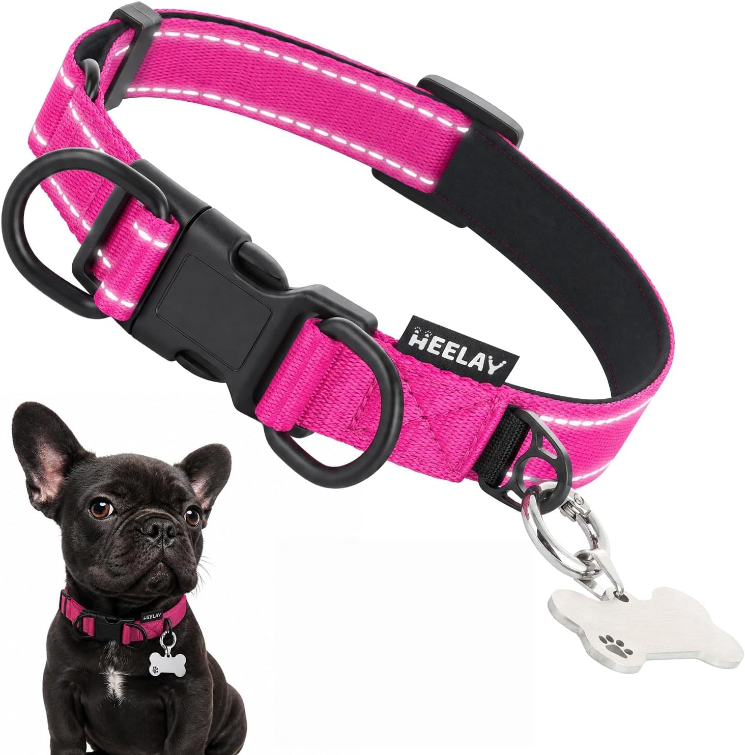 Reflective Dog Collar with Write-On ID Tag