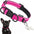 Reflective Dog Collar with Write-On ID Tag
